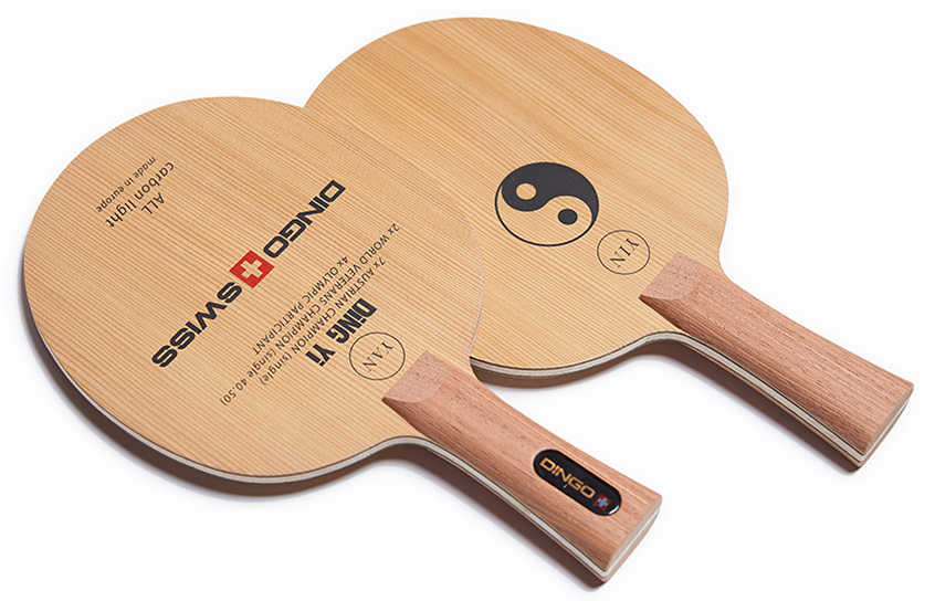 Dingo Swiss Hoelzer YinYan Carbon Light