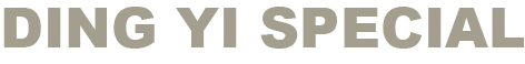 DING Yi SPECIAL beige